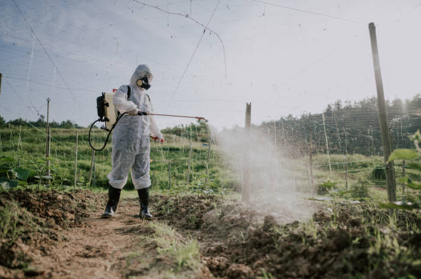 Best Pest Control for Homes  in Attica, IN