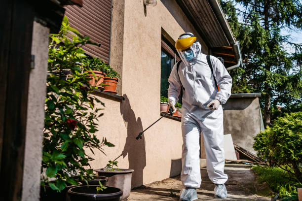 Best Bed Bug Extermination  in Attica, IN
