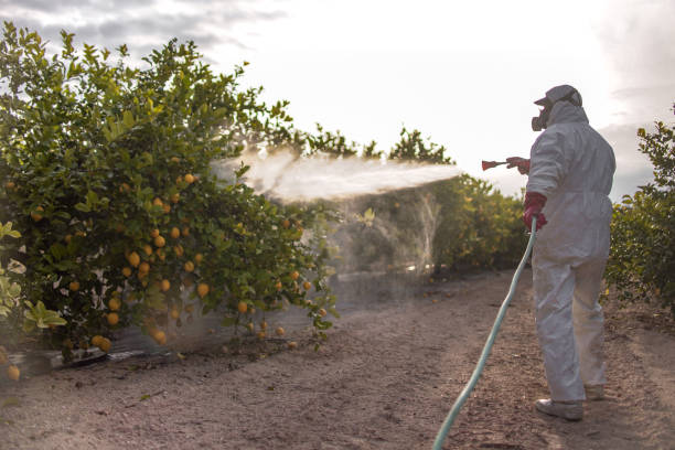 Best Commercial Pest Control Services  in Attica, IN