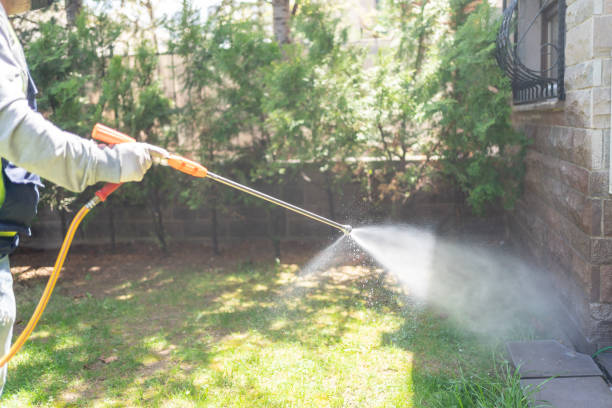 Best Mosquito Control Services  in Attica, IN