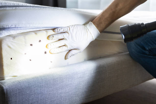 Pest Control for Restaurants in Attica, IN