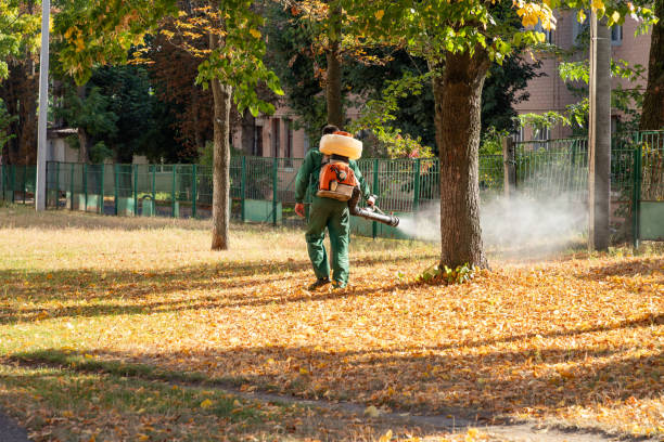 Best Rat Extermination Near Me  in Attica, IN