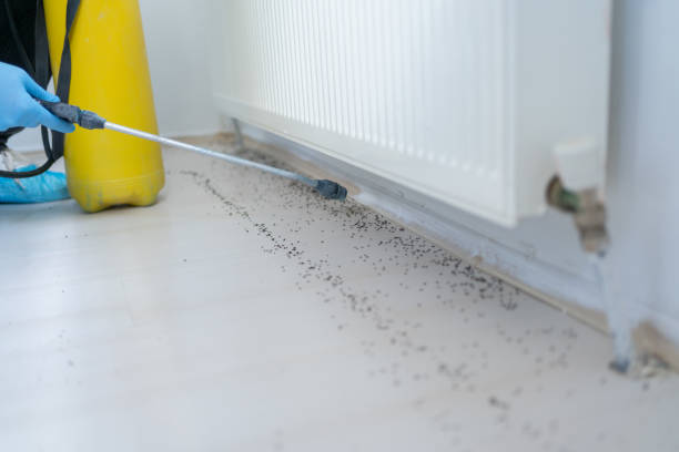 Best Pest Prevention Services  in Attica, IN