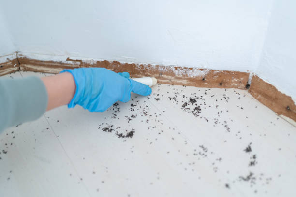 Best Best Pest Control Companies  in Attica, IN