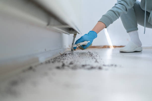 Best Pest Removal Services  in Attica, IN